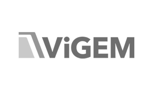 ViGEM Logo